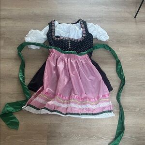 Pink Gingham Mini Dirndl Dress with Green Sash and Black Bodice